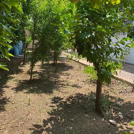 Rifugio Sereno Apartmán